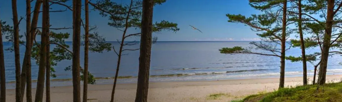 Business Class Flights to Jurmala